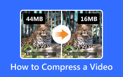 Compress A Video