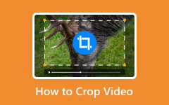 How to Crop Video