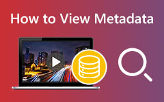 How to View Metadata