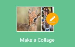 Make A Collage