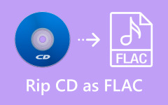 Rip CD as FLAC