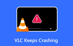VLC Keeps Crashing