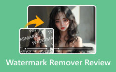 Watermark Remover Review