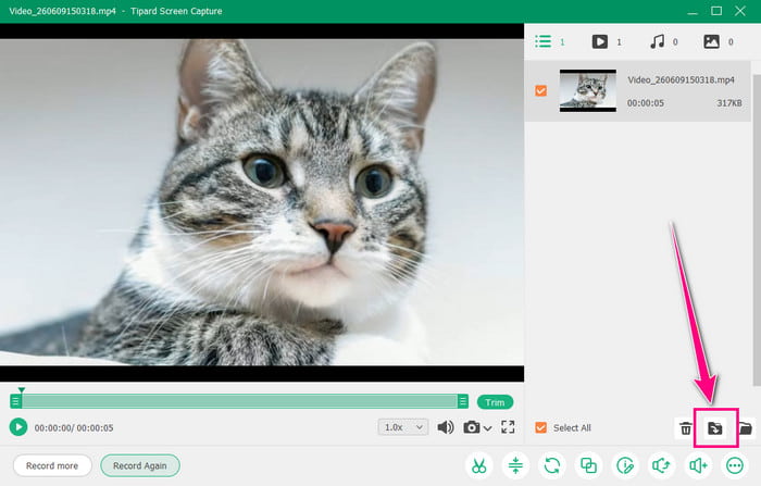 Export Button Tipard Screen Capture