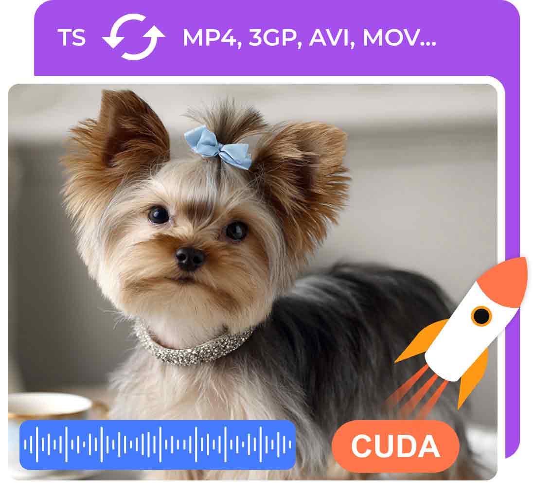 Convert TS to All Popular Formats