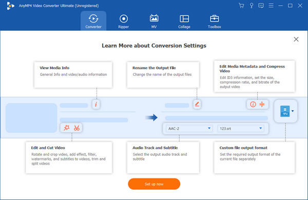 AnyMP4 Video Converter Ultimate Interface