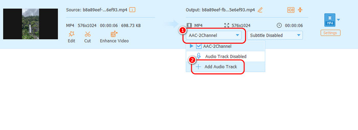 Add Audio Track Tipard