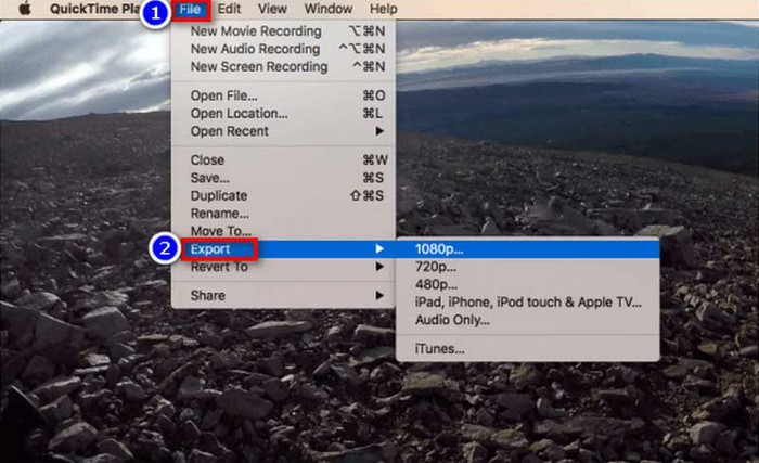 Click Export Button