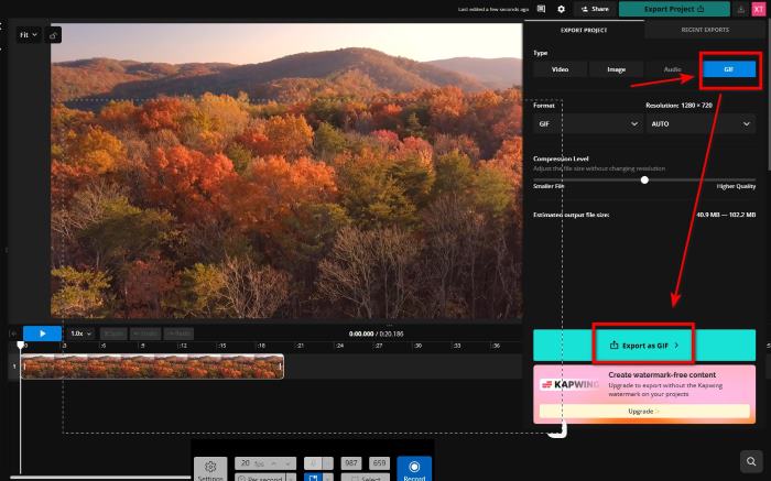 GIF Maker Kapwing