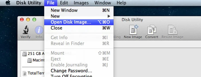 Click Open Disk Image
