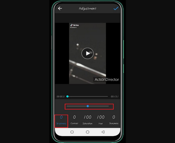 Action Director Adjust Brightness