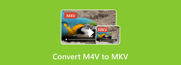 M4V to MKV