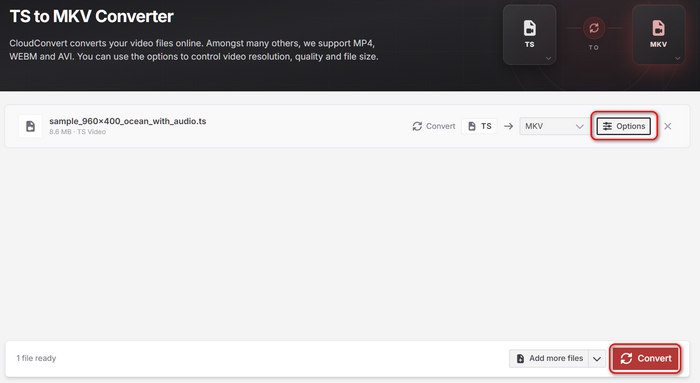 CloudConvert TS to MKV Online