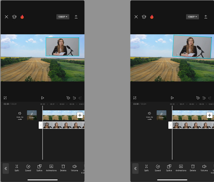 Resize Picture in Picture