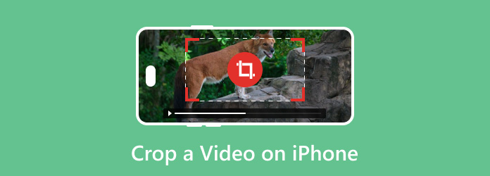 Crop A Video on iPhone