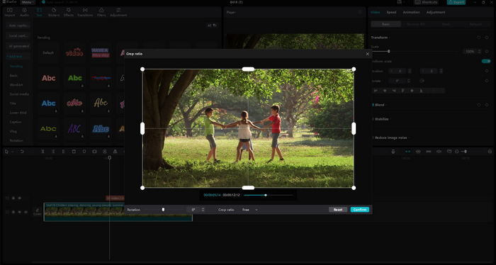 Interface Crop Video Image