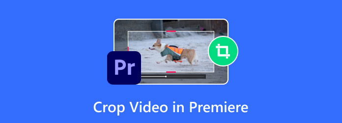 Crop Video in Premiere