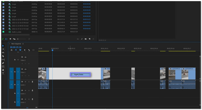 Adobe Premiere Pro