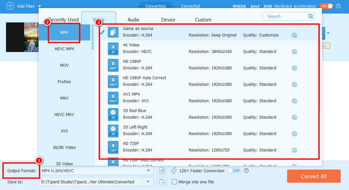 Output Format MP4 Tipard