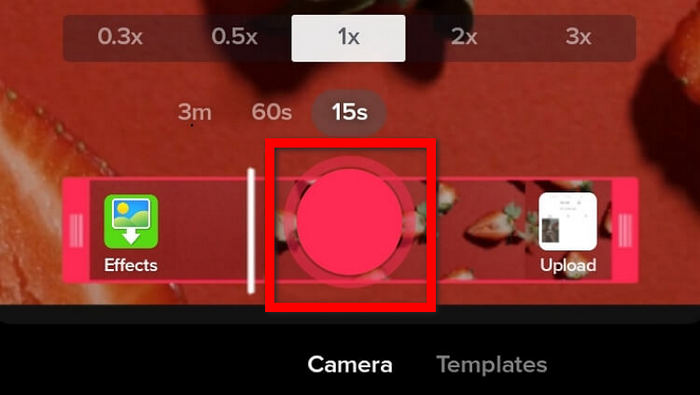 Record Button