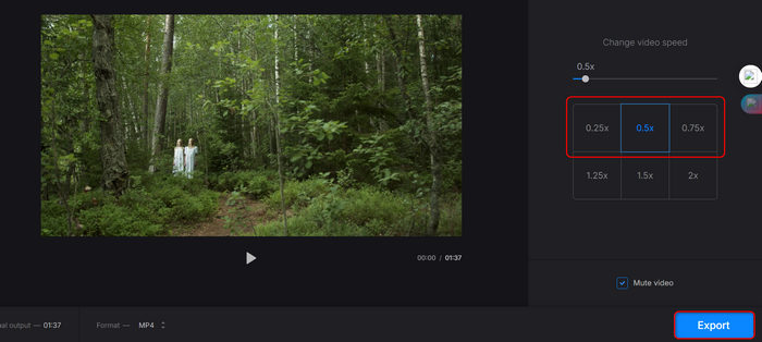 Make Slow Motion Video Clideo