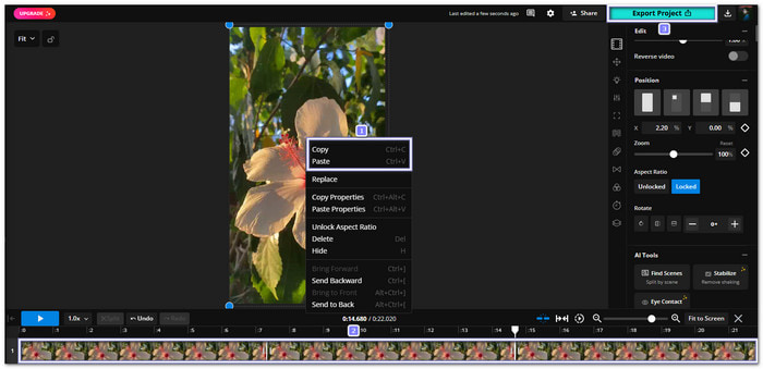 Kapwing Loop A Video Free Online
