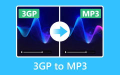 3GP to MP3