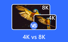4K VS 8K