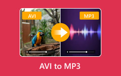 AVI to MP3
