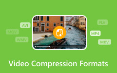 Video Compression Formats