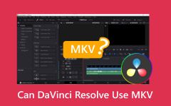 Can DaVinci Resolve Use MKV?