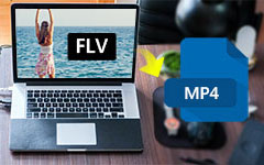 FLV to MP4 on Mac 