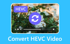 Converting HEVC Video