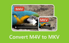 M4V to MKV