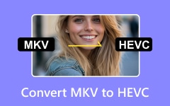 Convert MKV to HEVC
