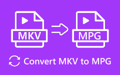 Convert MKV to MPG