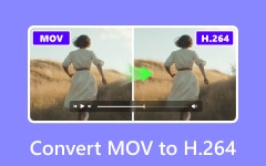 Convert MOV to H264