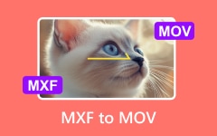 Convert MXF to MOV