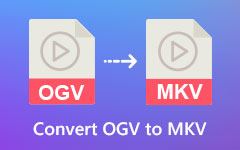 Convert OGV To MKV