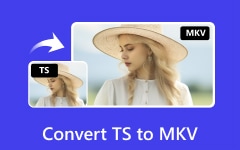 Convert TS to MKV