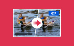Video to GIF