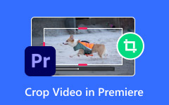 Add Apple Music to iMovie