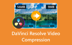 DaVinci Resolve Video Compression