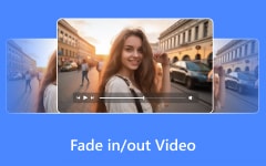 Fade in out Video