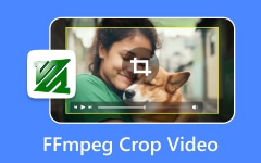 FFmpeg Crop Video