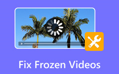 Fix Frozen Video