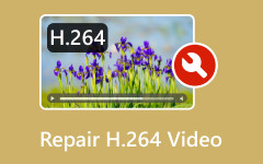 H.264 Videos