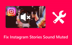 Fix Instagram Stories Sound Muted