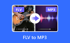 FLV to MP3
