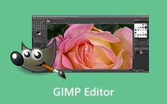 GIMP Editor Review